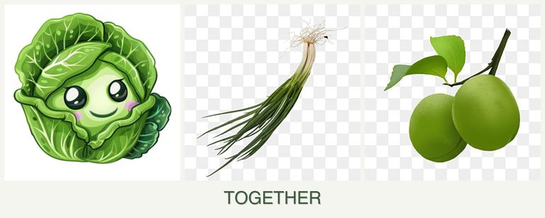 Can you plant cabbage, chives and plums together?