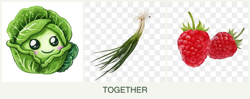 Can you plant cabbage, chives and raspberries together?