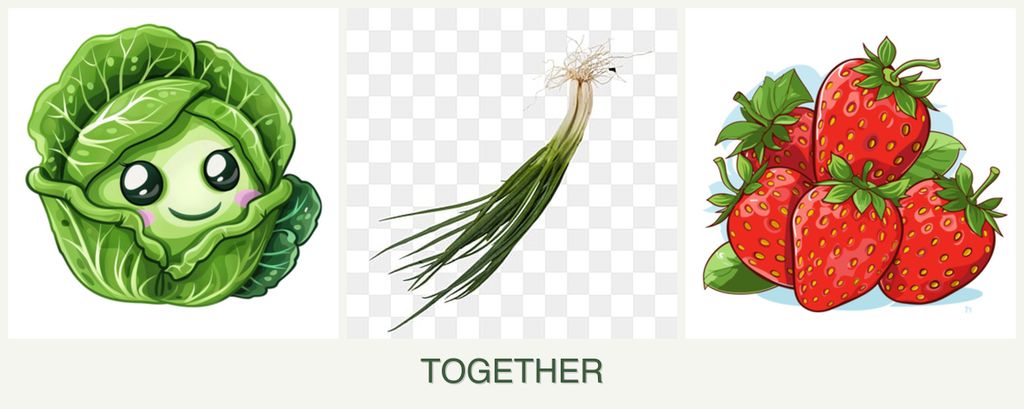 Can you plant cabbage, chives and strawberries together?