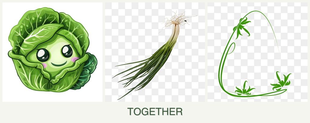 Can you plant cabbage, chives and tarragon together?