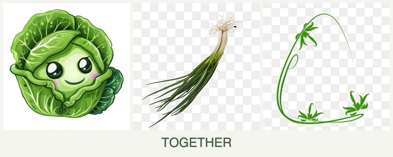 Can you plant cabbage, chives and tarragon together?