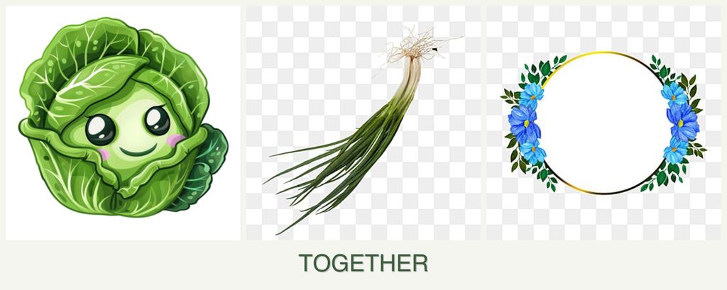 Can you plant cabbage, chives and zinnias together?