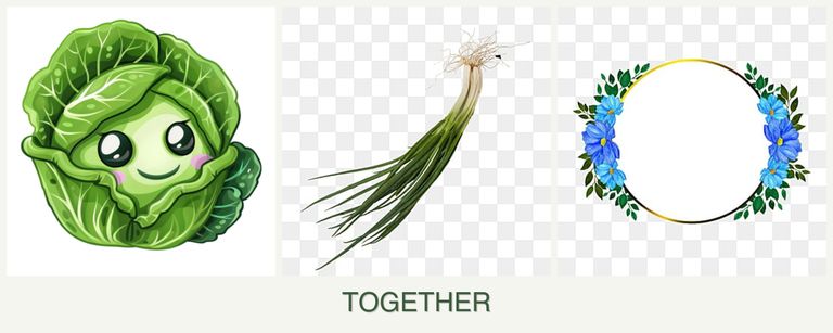 Can you plant cabbage, chives and zinnias together?