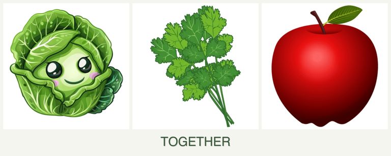 Can you plant cabbage, cilantro and apples together?
