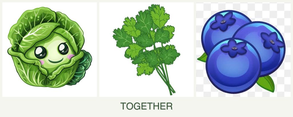 Can you plant cabbage, cilantro and blueberries together?