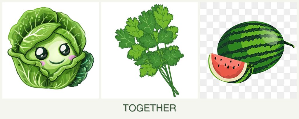 Can you plant cabbage, cilantro and melons together?