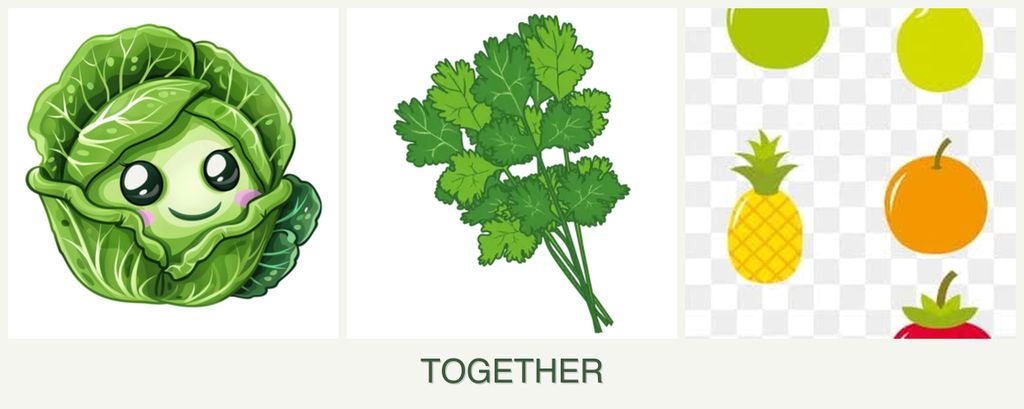 Can you plant cabbage, cilantro and pears together?