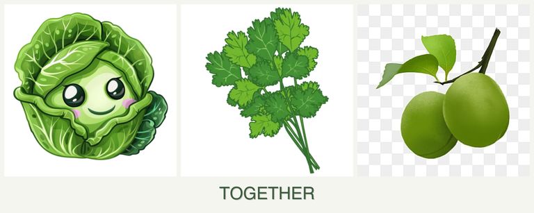 Can you plant cabbage, cilantro and plums together?