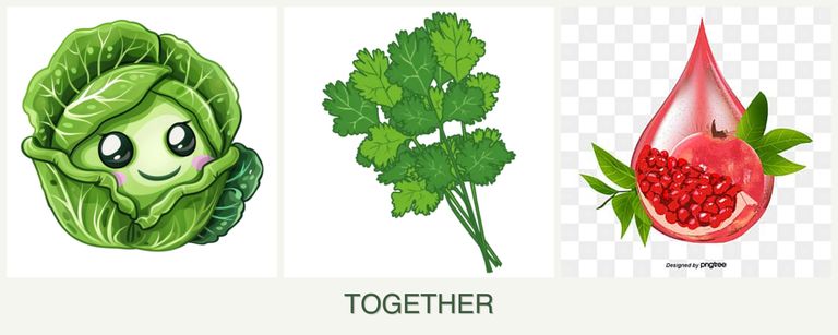 Can you plant cabbage, cilantro and pomegranates together?