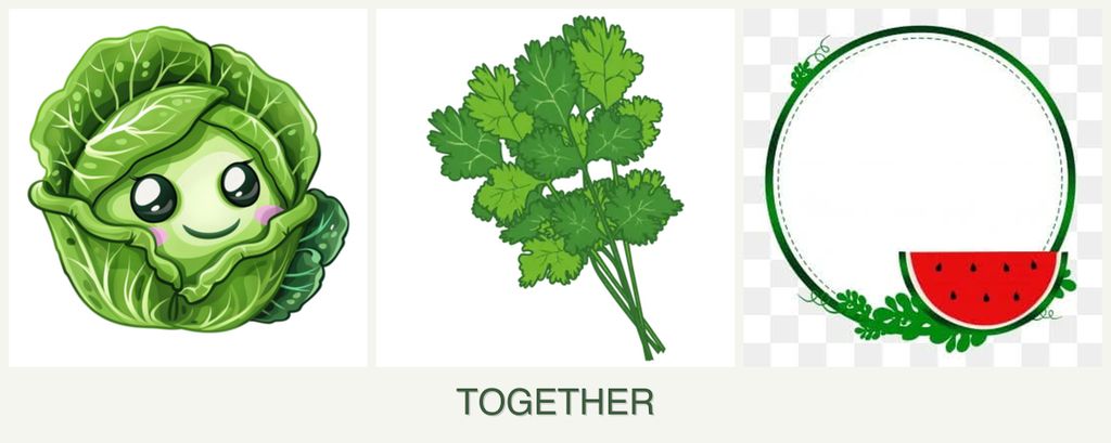 Can you plant cabbage, cilantro and watermelons together?