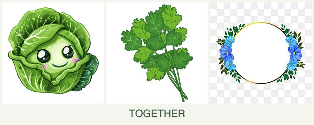 Can you plant cabbage, cilantro and zinnias together?