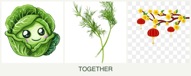 Can you plant cabbage, dill and apricots together?