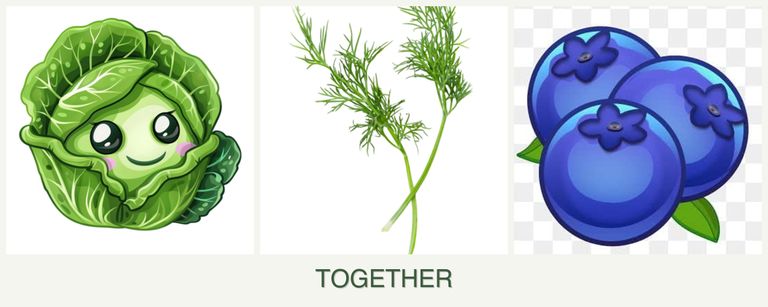 Can you plant cabbage, dill and blueberries together?