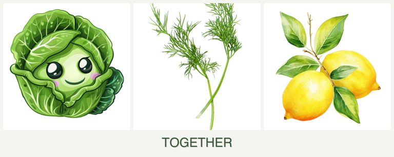 Can you plant cabbage, dill and lemons together?
