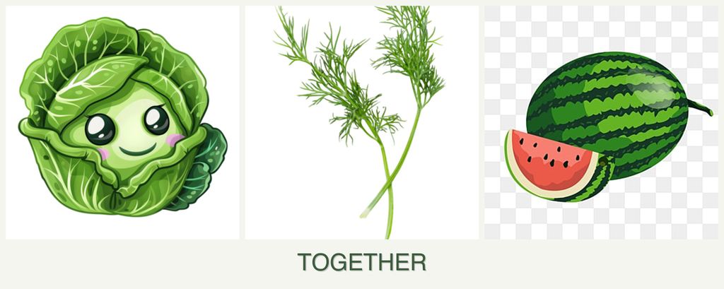 Can you plant cabbage, dill and melons together?
