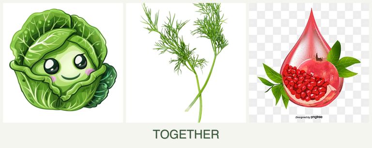 Can you plant cabbage, dill and pomegranates together?