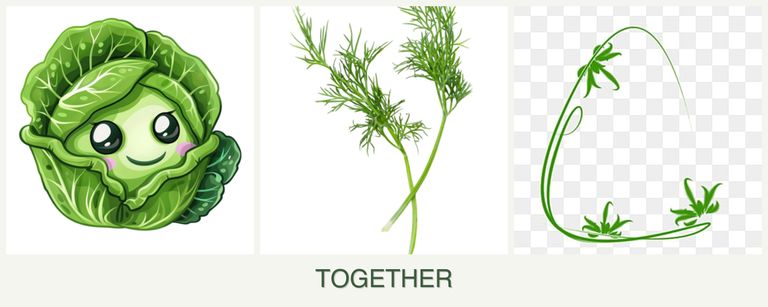Can you plant cabbage, dill and tarragon together?