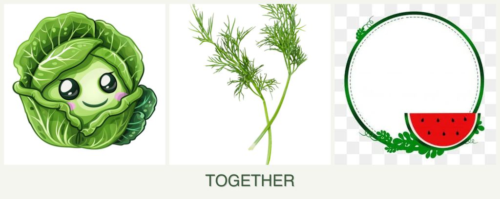 Can you plant cabbage, dill and watermelons together?