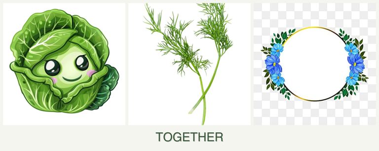Can you plant cabbage, dill and zinnias together?