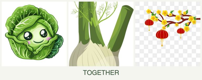 Can you plant cabbage, fennel and apricots together?
