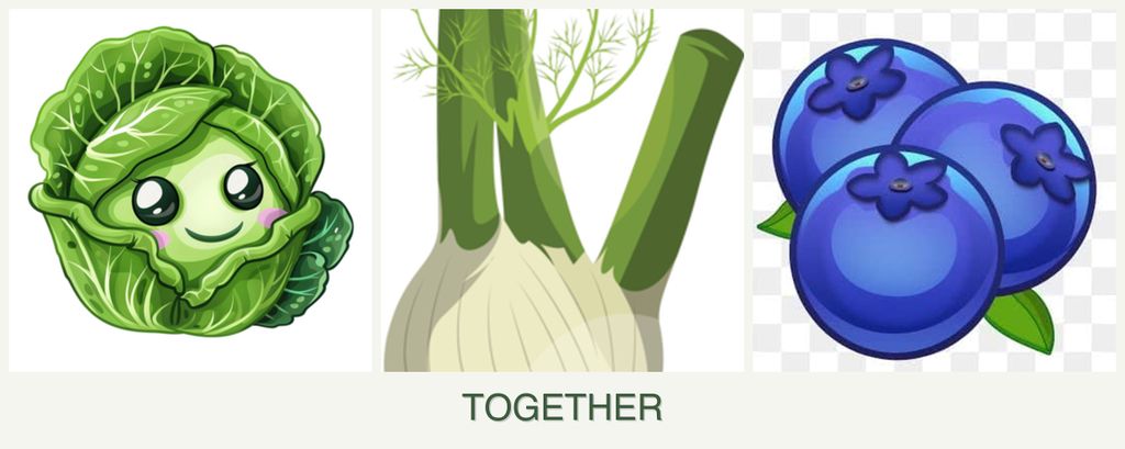 Can you plant cabbage, fennel and blueberries together?