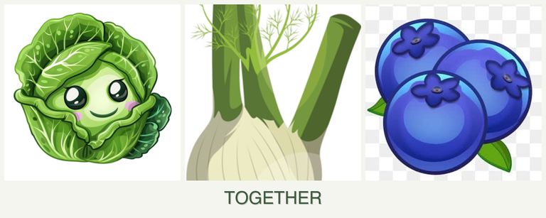 Can you plant cabbage, fennel and blueberries together?