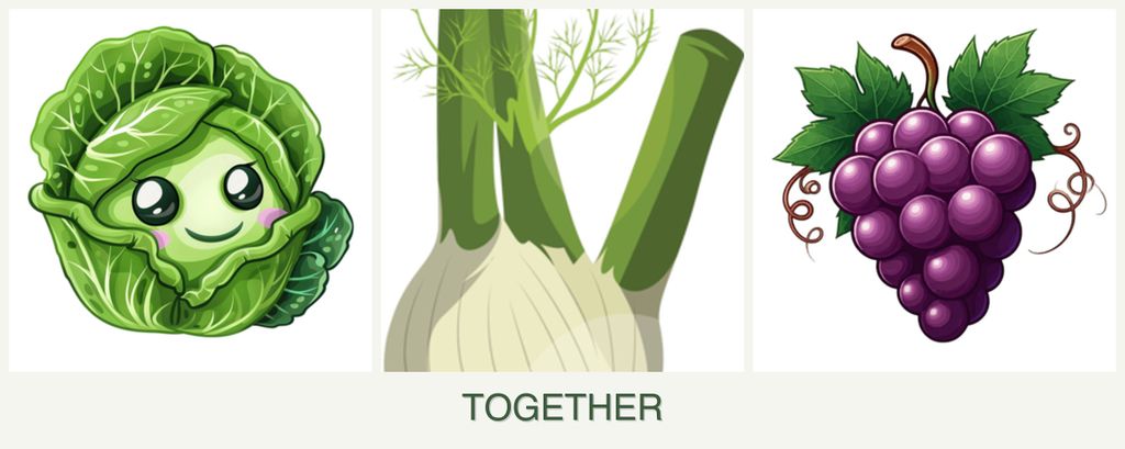 Can you plant cabbage, fennel and grapes together?