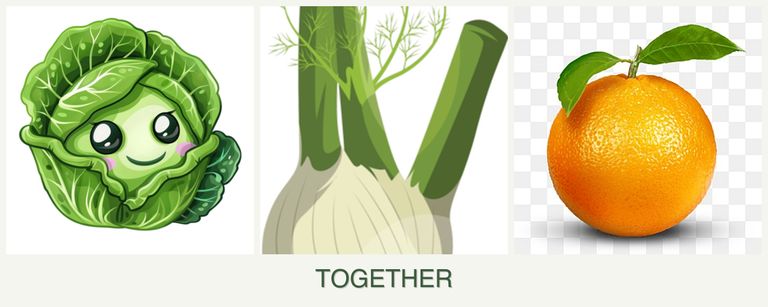 Can you plant cabbage, fennel and oranges together?