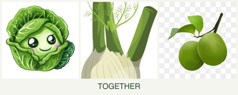 Can you plant cabbage, fennel and plums together?