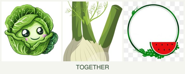 Can you plant cabbage, fennel and watermelons together?
