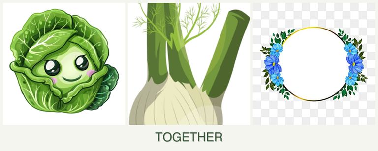 Can you plant cabbage, fennel and zinnias together?
