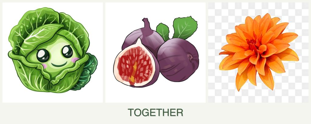 Can you plant cabbage, figs and dahlias together?