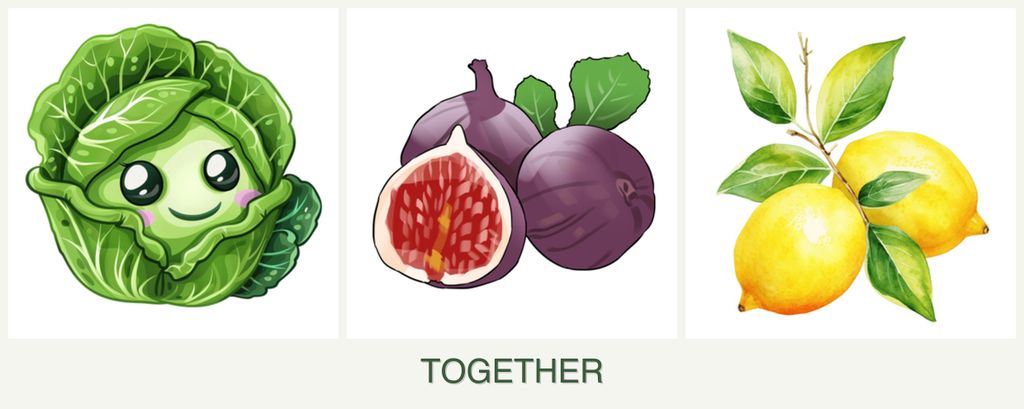 Can you plant cabbage, figs and lemons together?