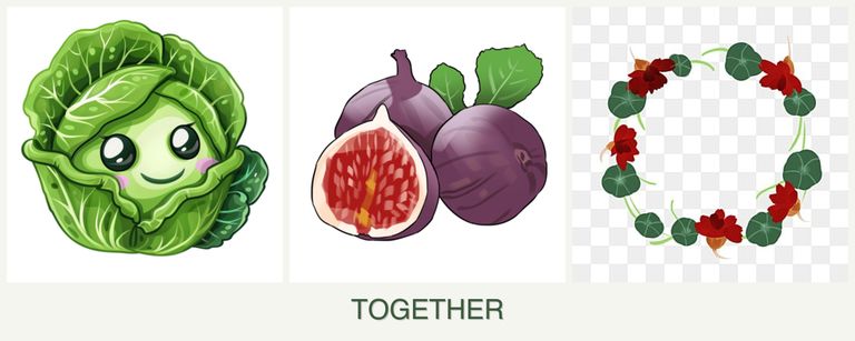 Can you plant cabbage, figs and nasturtiums together?