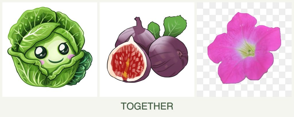 Can you plant cabbage, figs and petunias together?