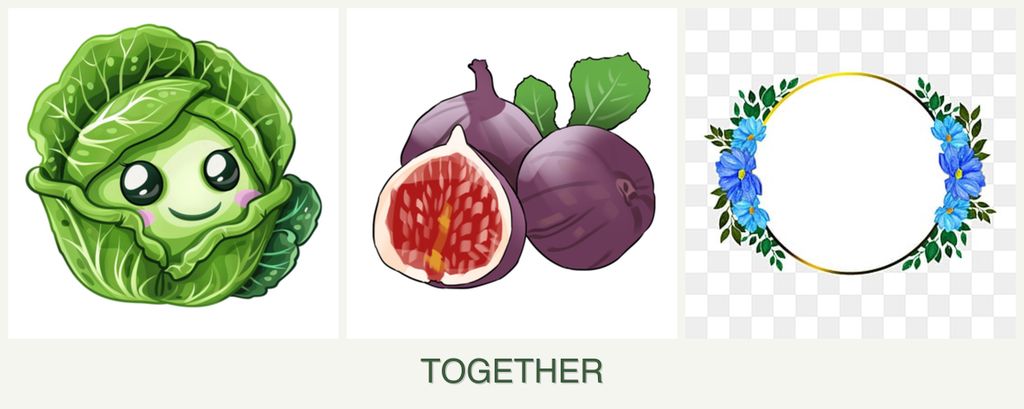 Can you plant cabbage, figs and zinnias together?