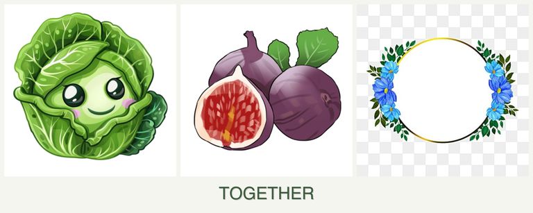Can you plant cabbage, figs and zinnias together?