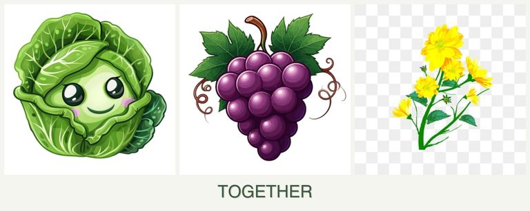 Can you plant cabbage, grapes and calendula together?
