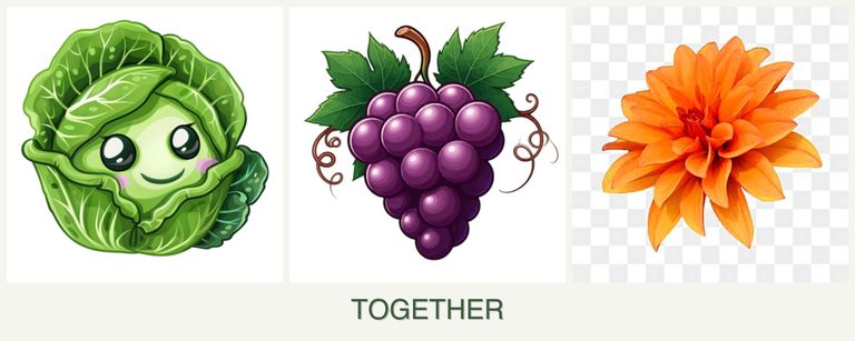 Can you plant cabbage, grapes and dahlias together?