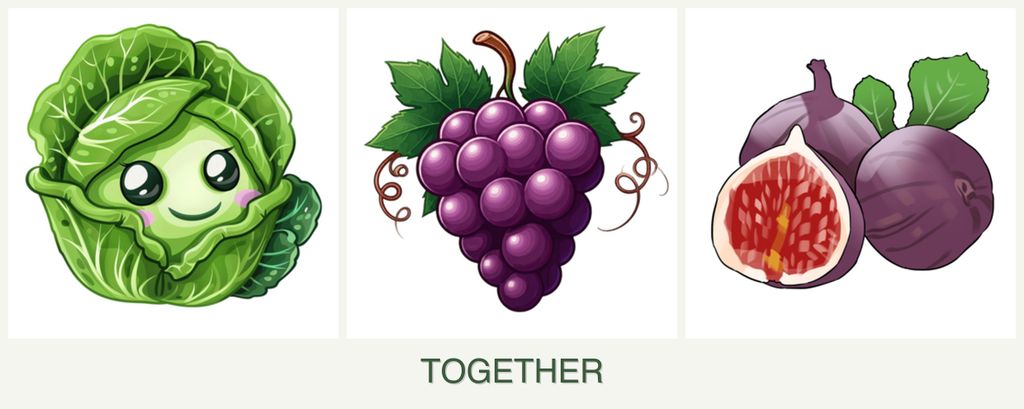 Can you plant cabbage, grapes and figs together?
