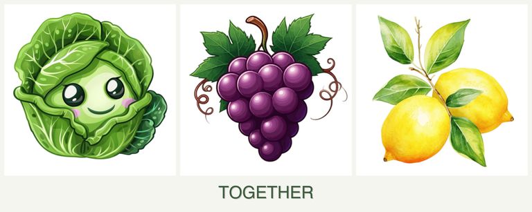 Can you plant cabbage, grapes and lemons together?