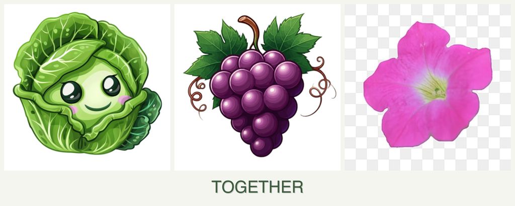 Can you plant cabbage, grapes and petunias together?