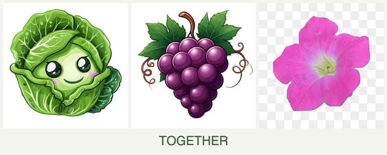 Can you plant cabbage, grapes and petunias together?