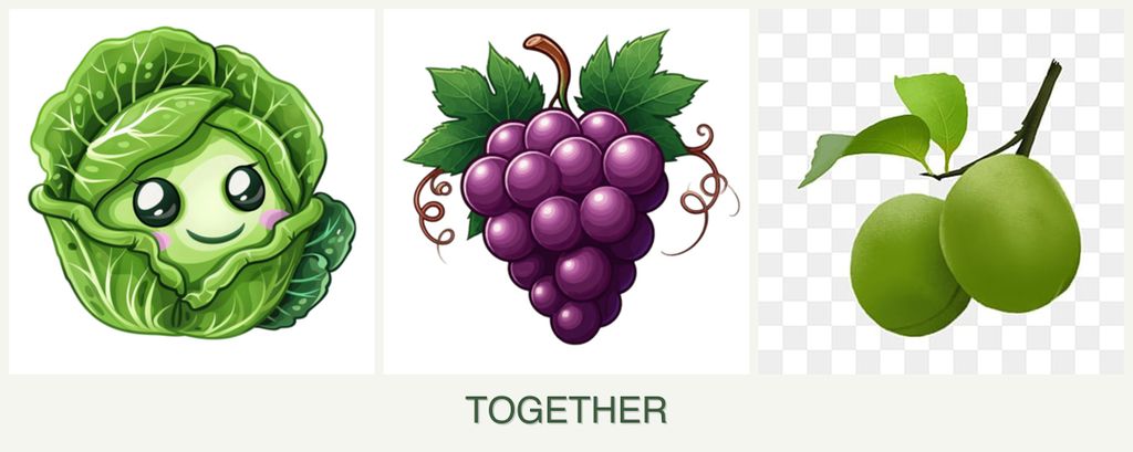 Can you plant cabbage, grapes and plums together?