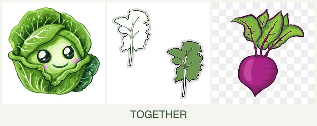 Can you plant cabbage, kale and beets together?