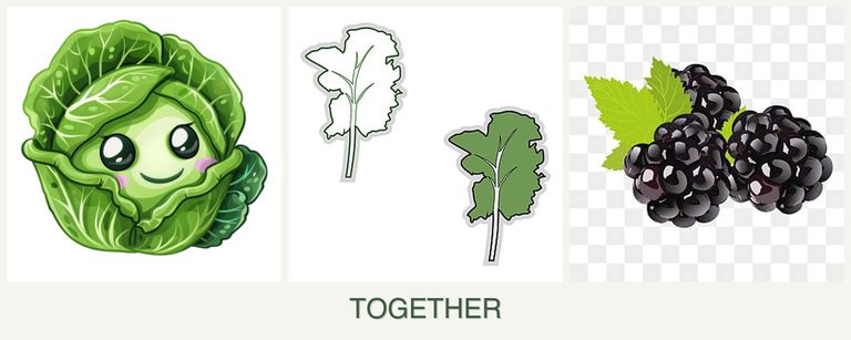 Can you plant cabbage, kale and blackberries together?