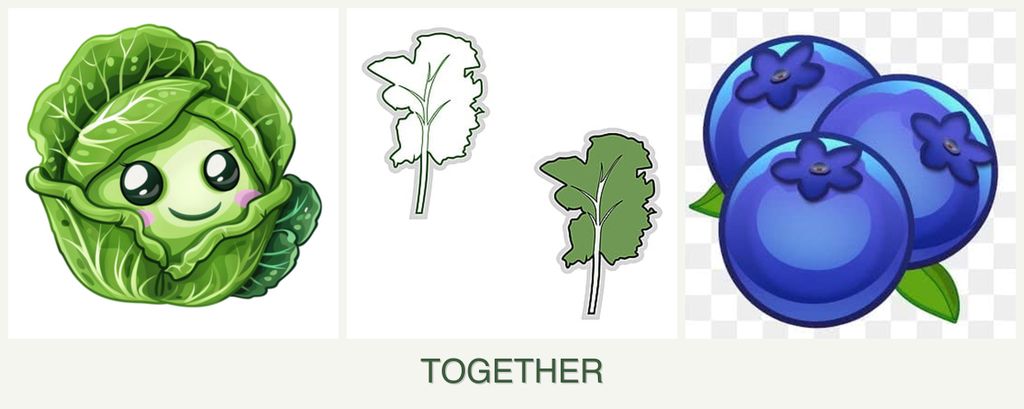 Can you plant cabbage, kale and blueberries together?