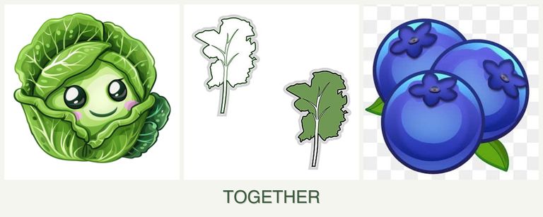 Can you plant cabbage, kale and blueberries together?