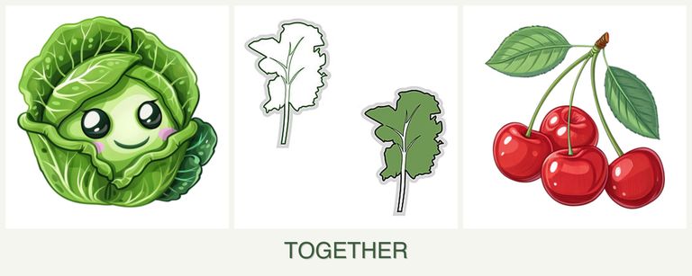 Can you plant cabbage, kale and cherries together?