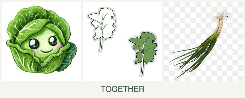 Can you plant cabbage, kale and chives together?